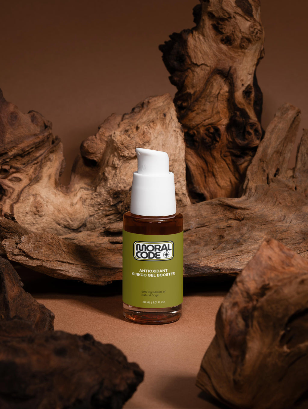 Antioxidant Ginkgo Gel Booster